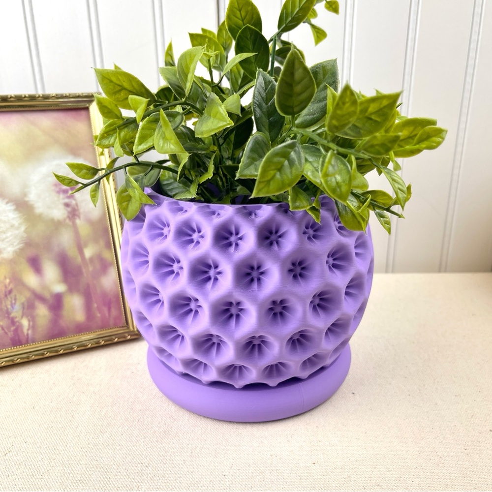 Modern Geometric Planter with Drainage Tray, Starry Planter Pot, Flower Pot